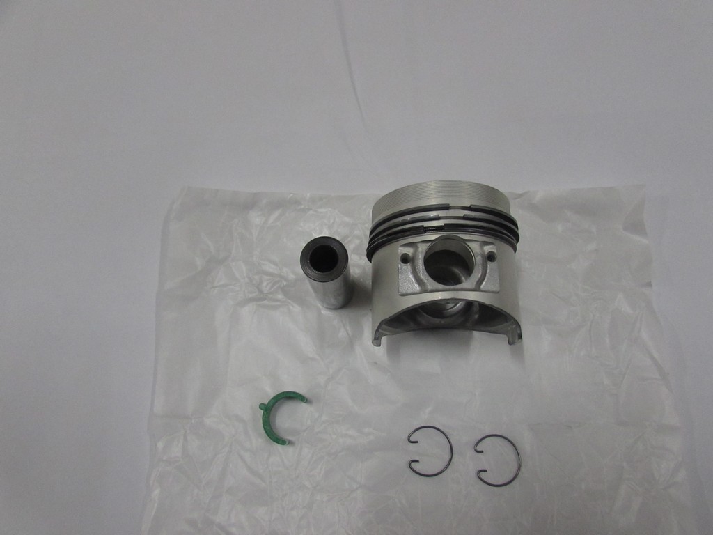 PISTON SEGMAN 050